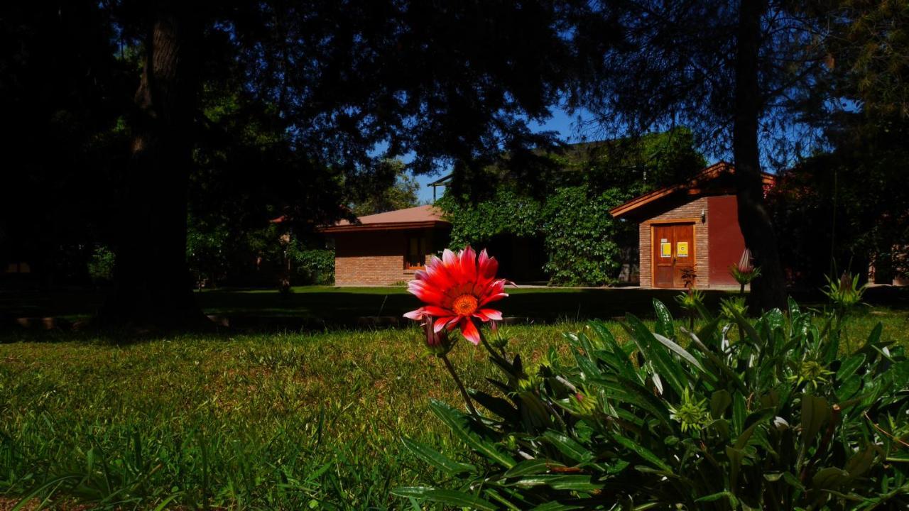 Hotel Lujan De Cuyo B&B